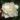 gardenia – apulia plants